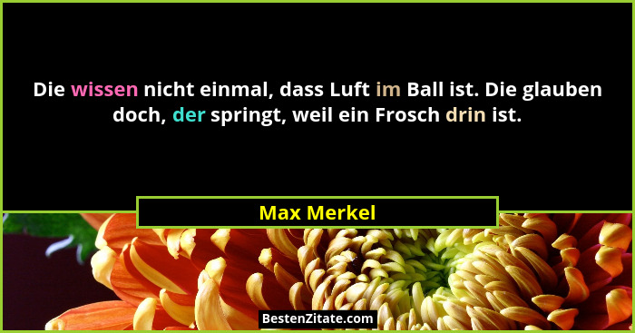 Die wissen nicht einmal, dass Luft im Ball ist. Die glauben doch, der springt, weil ein Frosch drin ist.... - Max Merkel