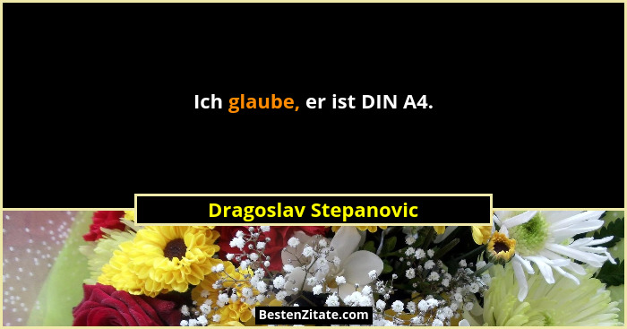 Ich glaube, er ist DIN A4.... - Dragoslav Stepanovic