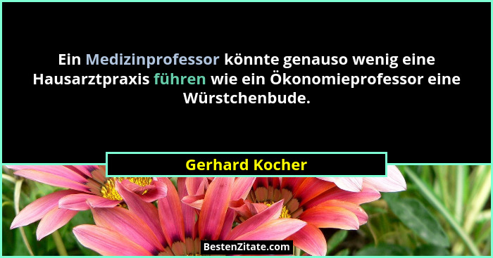 Ein Medizinprofessor könnte genauso wenig eine Hausarztpraxis führen wie ein Ökonomieprofessor eine Würstchenbude.... - Gerhard Kocher