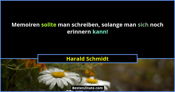 Memoiren sollte man schreiben, solange man sich noch erinnern kann!... - Harald Schmidt