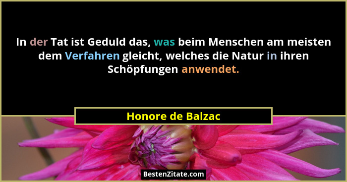 In der Tat ist Geduld das, was beim Menschen am meisten dem Verfahren gleicht, welches die Natur in ihren Schöpfungen anwendet.... - Honore de Balzac