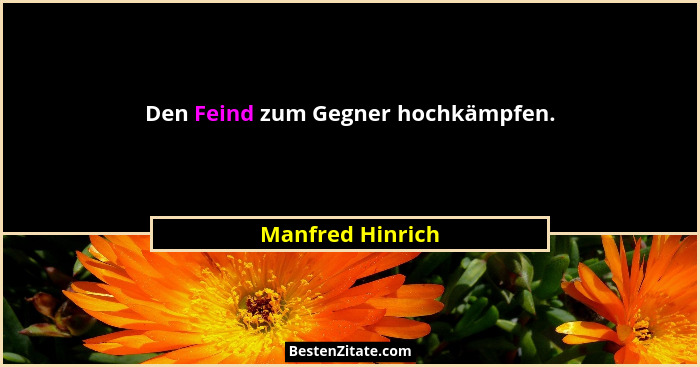 Den Feind zum Gegner hochkämpfen.... - Manfred Hinrich