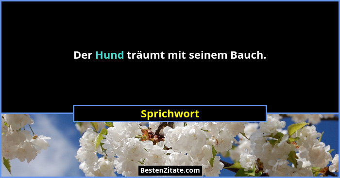 Der Hund träumt mit seinem Bauch.... - Sprichwort