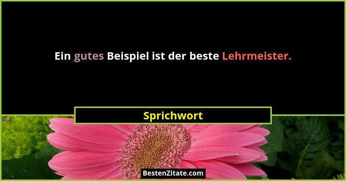 Ein gutes Beispiel ist der beste Lehrmeister.... - Sprichwort