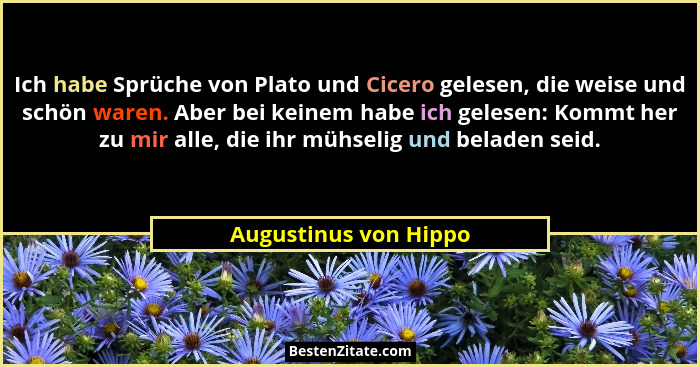 Ich habe Sprüche von Plato und Cicero gelesen, die weise und schön waren. Aber bei keinem habe ich gelesen: Kommt her zu mir al... - Augustinus von Hippo