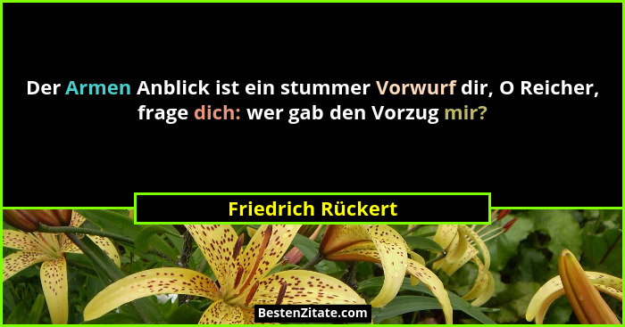 Der Armen Anblick ist ein stummer Vorwurf dir, O Reicher, frage dich: wer gab den Vorzug mir?... - Friedrich Rückert