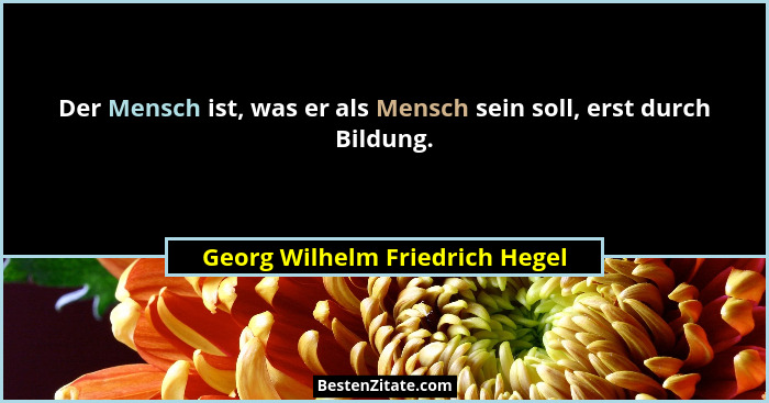 Der Mensch ist, was er als Mensch sein soll, erst durch Bildung.... - Georg Wilhelm Friedrich Hegel