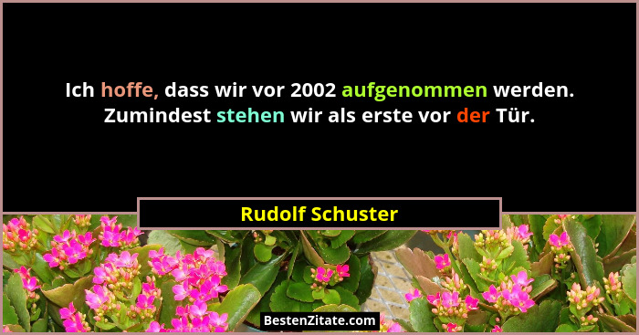 Ich hoffe, dass wir vor 2002 aufgenommen werden. Zumindest stehen wir als erste vor der Tür.... - Rudolf Schuster