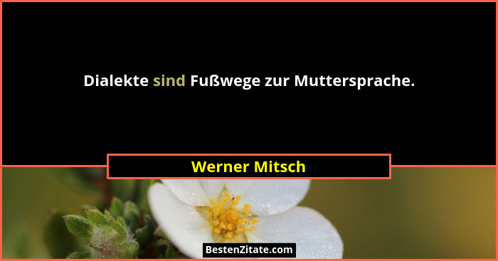 Dialekte sind Fußwege zur Muttersprache.... - Werner Mitsch