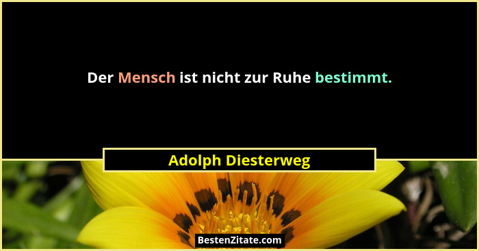 Der Mensch ist nicht zur Ruhe bestimmt.... - Adolph Diesterweg