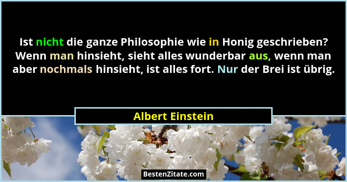 Ist nicht die ganze Philosophie wie in Honig geschrieben? Wenn man hinsieht, sieht alles wunderbar aus, wenn man aber nochmals hinsi... - Albert Einstein