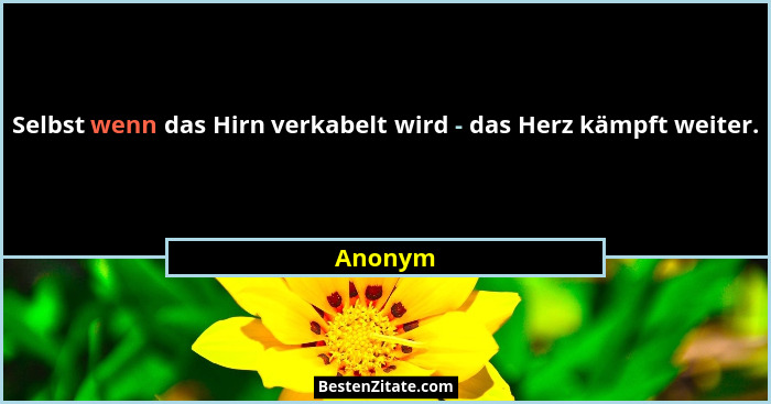 Selbst wenn das Hirn verkabelt wird - das Herz kämpft weiter.... - Anonym
