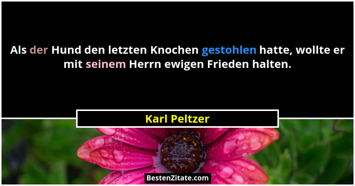Als der Hund den letzten Knochen gestohlen hatte, wollte er mit seinem Herrn ewigen Frieden halten.... - Karl Peltzer