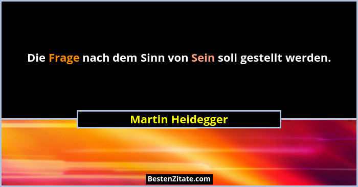 Die Frage nach dem Sinn von Sein soll gestellt werden.... - Martin Heidegger