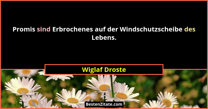 Promis sind Erbrochenes auf der Windschutzscheibe des Lebens.... - Wiglaf Droste