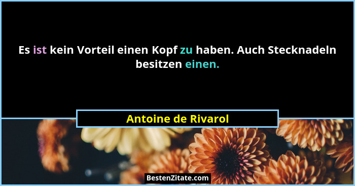 Es ist kein Vorteil einen Kopf zu haben. Auch Stecknadeln besitzen einen.... - Antoine de Rivarol