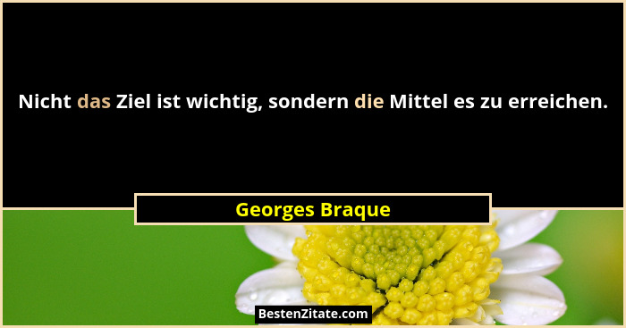 Nicht das Ziel ist wichtig, sondern die Mittel es zu erreichen.... - Georges Braque