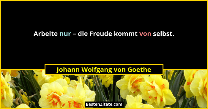 Arbeite nur – die Freude kommt von selbst.... - Johann Wolfgang von Goethe