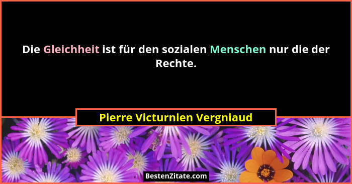 Die Gleichheit ist für den sozialen Menschen nur die der Rechte.... - Pierre Victurnien Vergniaud