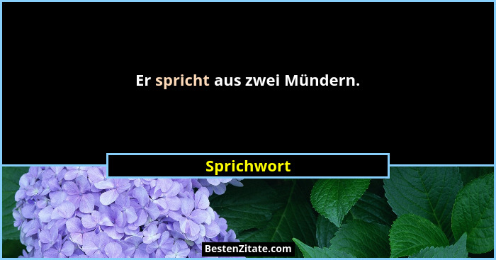 Er spricht aus zwei Mündern.... - Sprichwort