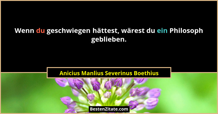 Wenn du geschwiegen hättest, wärest du ein Philosoph geblieben.... - Anicius Manlius Severinus Boethius