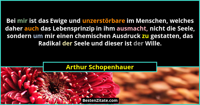 Bei mir ist das Ewige und unzerstörbare im Menschen, welches daher auch das Lebensprinzip in ihm ausmacht, nicht die Seele, sond... - Arthur Schopenhauer