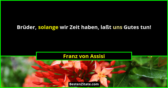 Brüder, solange wir Zeit haben, laßt uns Gutes tun!... - Franz von Assisi
