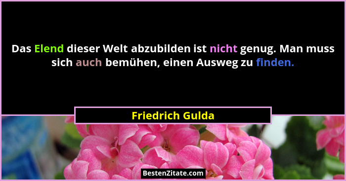 Das Elend dieser Welt abzubilden ist nicht genug. Man muss sich auch bemühen, einen Ausweg zu finden.... - Friedrich Gulda