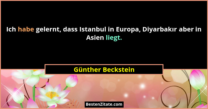 Ich habe gelernt, dass Istanbul in Europa, Diyarbakır aber in Asien liegt.... - Günther Beckstein