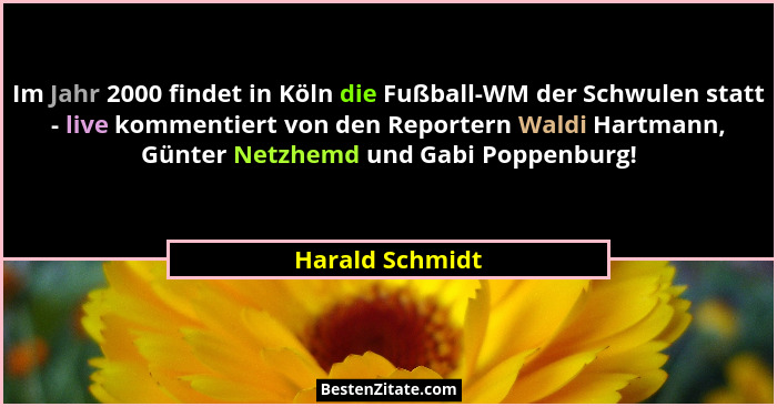 Im Jahr 2000 findet in Köln die Fußball-WM der Schwulen statt - live kommentiert von den Reportern Waldi Hartmann, Günter Netzhemd un... - Harald Schmidt