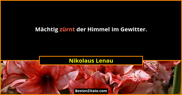 Mächtig zürnt der Himmel im Gewitter.... - Nikolaus Lenau