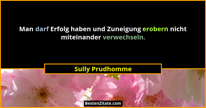 Man darf Erfolg haben und Zuneigung erobern nicht miteinander verwechseln.... - Sully Prudhomme