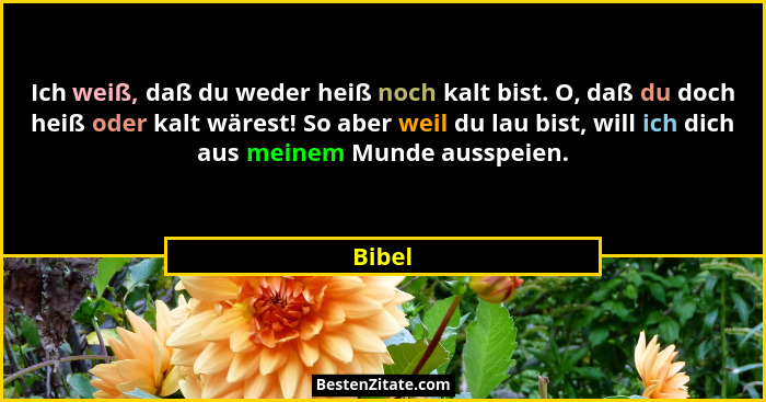 Ich weiß, daß du weder heiß noch kalt bist. O, daß du doch heiß oder kalt wärest! So aber weil du lau bist, will ich dich aus meinem Munde aus... - Bibel