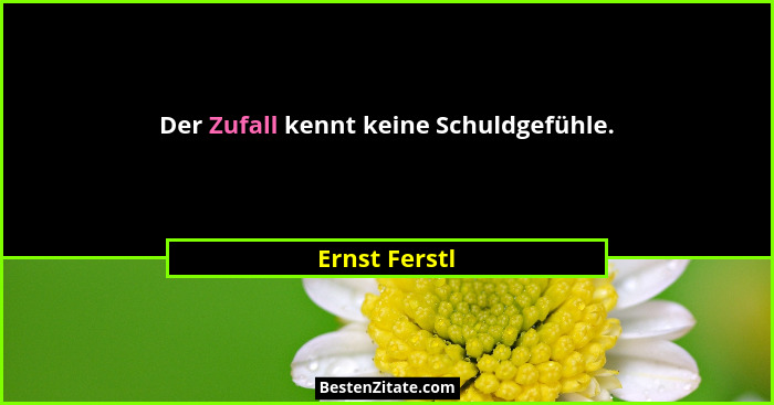 Der Zufall kennt keine Schuldgefühle.... - Ernst Ferstl