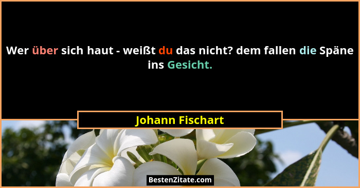 Wer über sich haut - weißt du das nicht? dem fallen die Späne ins Gesicht.... - Johann Fischart