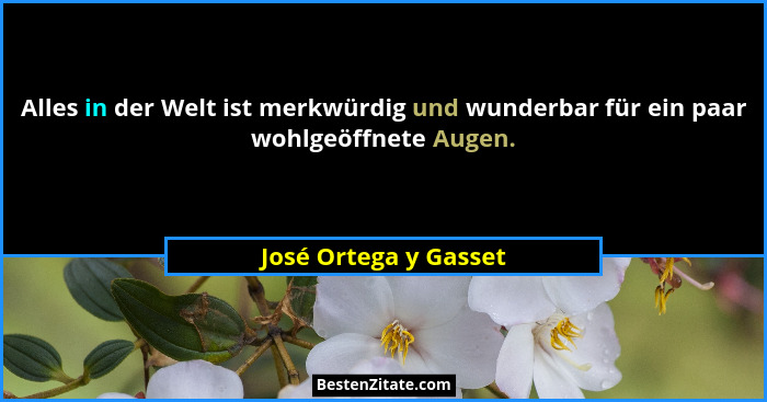 Alles in der Welt ist merkwürdig und wunderbar für ein paar wohlgeöffnete Augen.... - José Ortega y Gasset