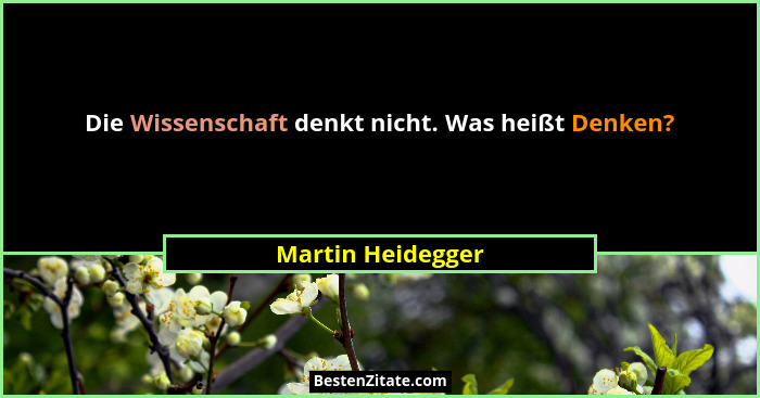 Die Wissenschaft denkt nicht. Was heißt Denken?... - Martin Heidegger