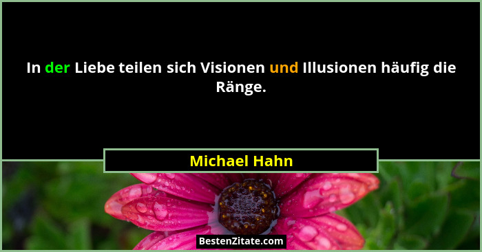 In der Liebe teilen sich Visionen und Illusionen häufig die Ränge.... - Michael Hahn