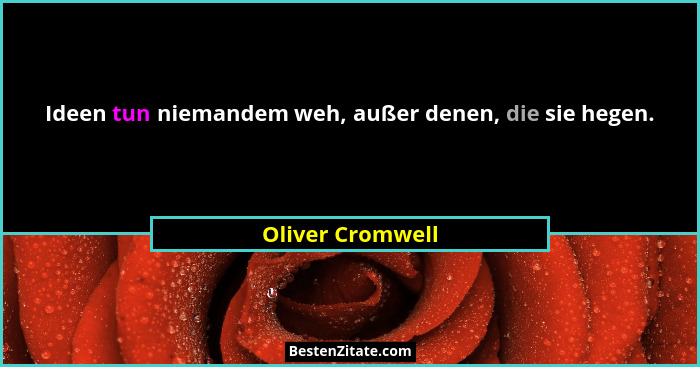 Ideen tun niemandem weh, außer denen, die sie hegen.... - Oliver Cromwell