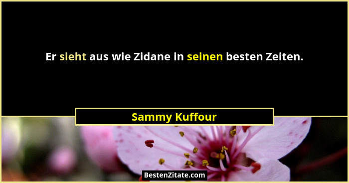Er sieht aus wie Zidane in seinen besten Zeiten.... - Sammy Kuffour