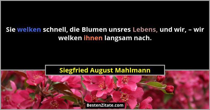 Sie welken schnell, die Blumen unsres Lebens, und wir, – wir welken ihnen langsam nach.... - Siegfried August Mahlmann