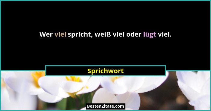 Wer viel spricht, weiß viel oder lügt viel.... - Sprichwort