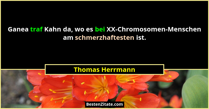 Ganea traf Kahn da, wo es bei XX-Chromosomen-Menschen am schmerzhaftesten ist.... - Thomas Herrmann
