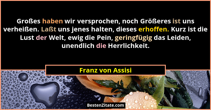 Großes haben wir versprochen, noch Größeres ist uns verheißen. Laßt uns jenes halten, dieses erhoffen. Kurz ist die Lust der Welt,... - Franz von Assisi