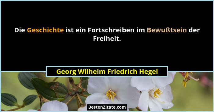 Die Geschichte ist ein Fortschreiben im Bewußtsein der Freiheit.... - Georg Wilhelm Friedrich Hegel