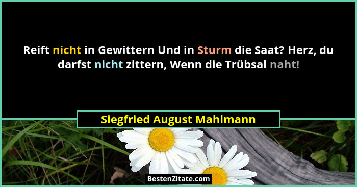 Reift nicht in Gewittern Und in Sturm die Saat? Herz, du darfst nicht zittern, Wenn die Trübsal naht!... - Siegfried August Mahlmann