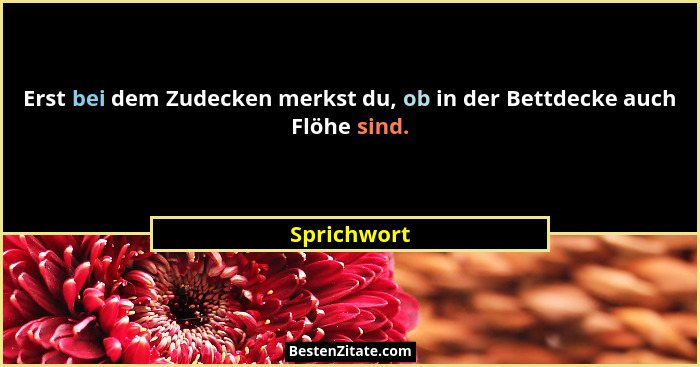 Erst bei dem Zudecken merkst du, ob in der Bettdecke auch Flöhe sind.... - Sprichwort