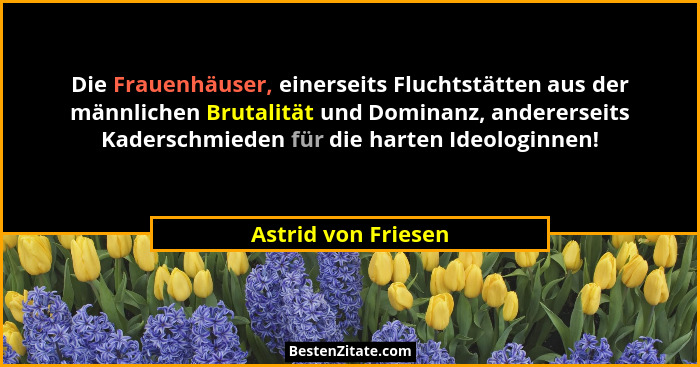 Die Frauenhäuser, einerseits Fluchtstätten aus der männlichen Brutalität und Dominanz, andererseits Kaderschmieden für die harten... - Astrid von Friesen