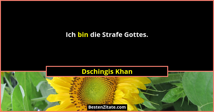 Ich bin die Strafe Gottes.... - Dschingis Khan