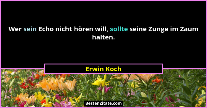 Wer sein Echo nicht hören will, sollte seine Zunge im Zaum halten.... - Erwin Koch